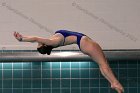 Women's Diving  Wheaton College Women’s Diving vs Mount Holyoke College. - Photo by Keith Nordstrom : Wheaton, Swimming & Diving
